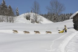 Kandersteg 2013